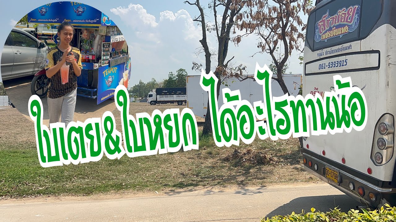 ตื่นมาแล้วน้องใบเตย ได้อะไรทาน #อุ๋งอิ๋งเพชรบ้านแพง #สาวน้อยเพชรบ้านแพง 