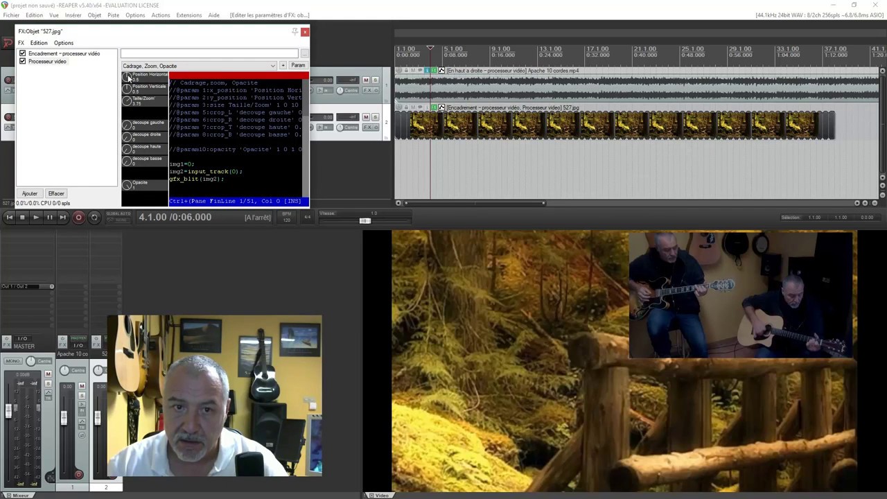17 - Les effets sur les pistes vidéos dans Reaper : FX video processor