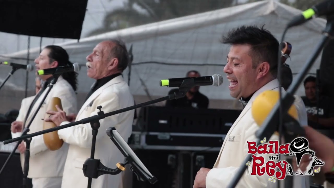 Suenan los Tambores | Conjunto Africa en vivo