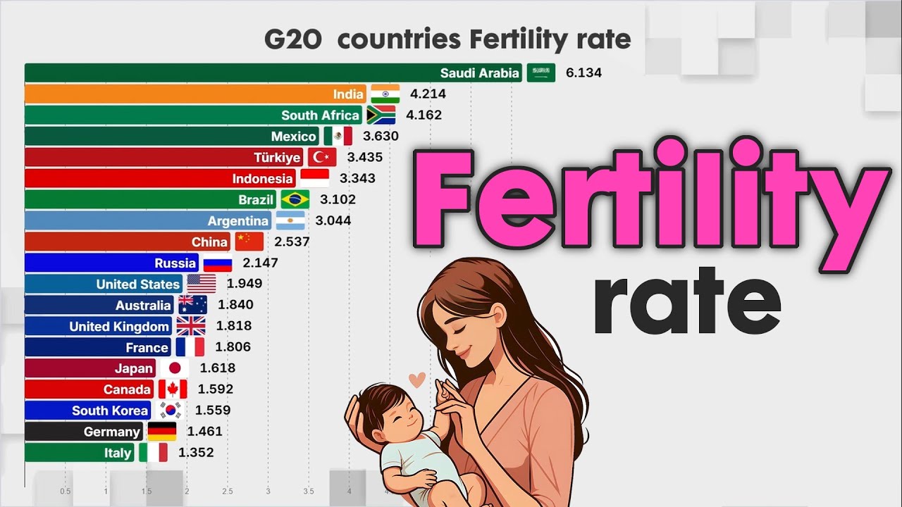 FERTILITY RATE IN THE G20 COUNTRIES