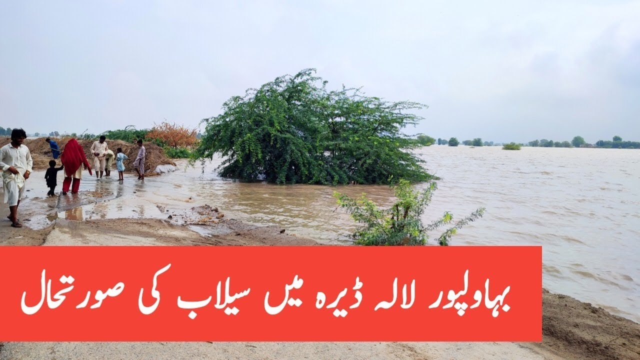 Flood situation Lala dera Bahawalpur | Satluj river today news | Flood in Punjab | Flood in Pakistan