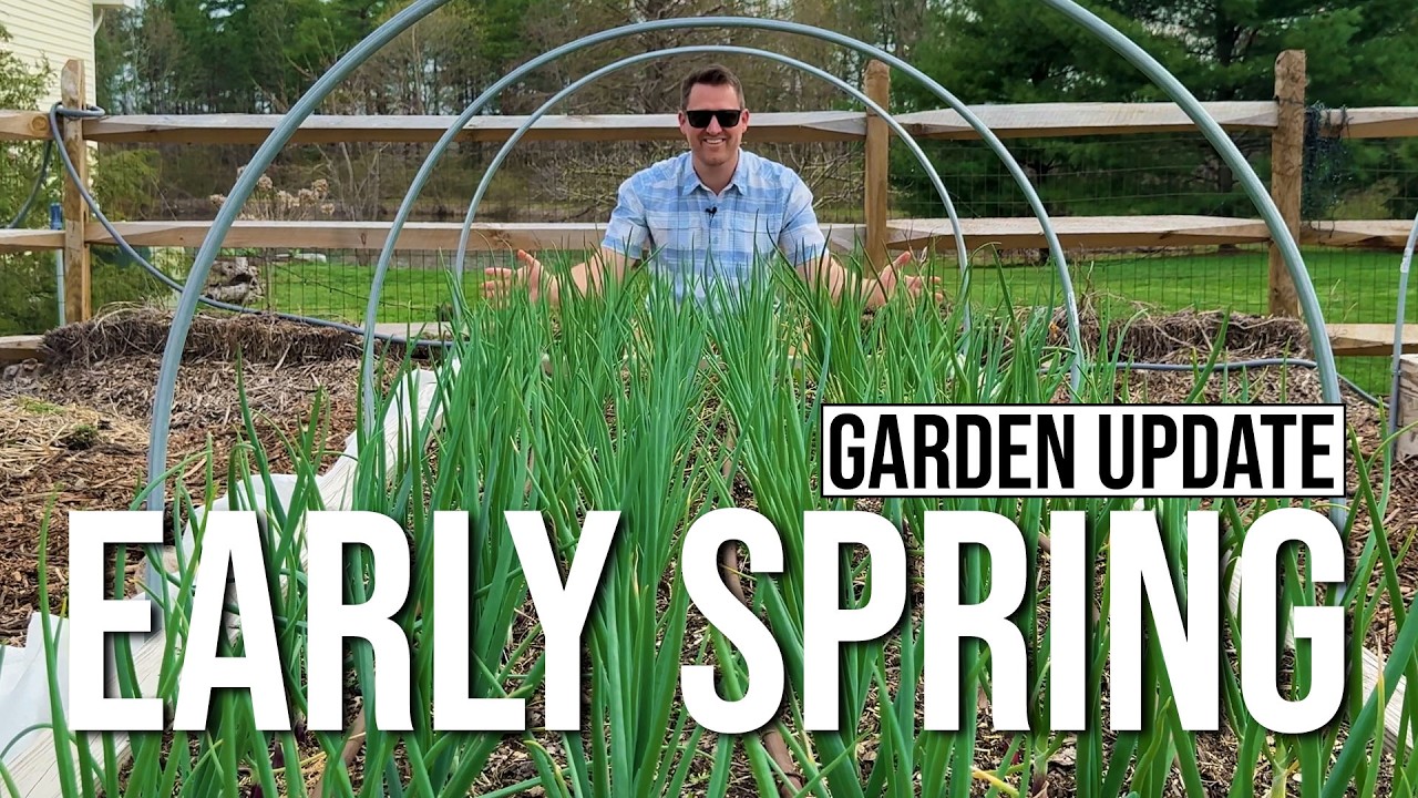 Early Spring Garden Tour - SW Ohio, Zone 6b