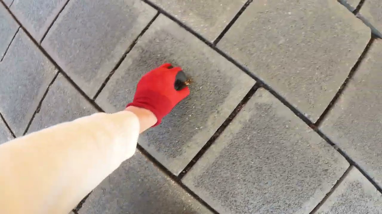 Cleanup #316 | Nürnberg Kaeppelstraße | 400 Zigarettenstummel