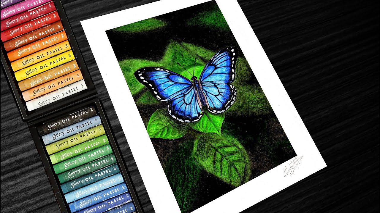 Oil Pastel Drawing/Drawing of a Blue Butterfly 🦋.