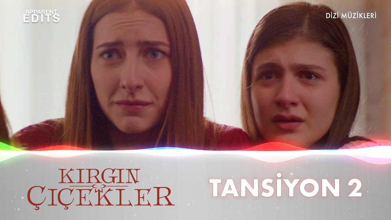 Tansiyon 2 (Kırgın Çiçekler Dizi Müzikleri)