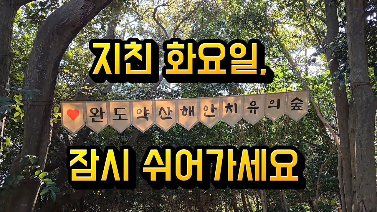 지친 화요일, 걱정은 돌탑에 두고 가세요 | 완도 숲길 힐링 산책 [4K]