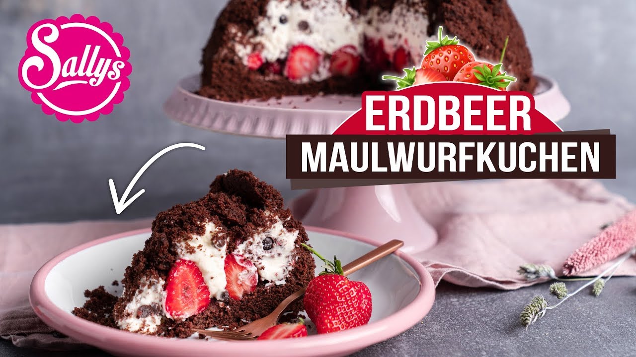 Erdbeer Maulwurfkuchen von Samira / Sallys Welt