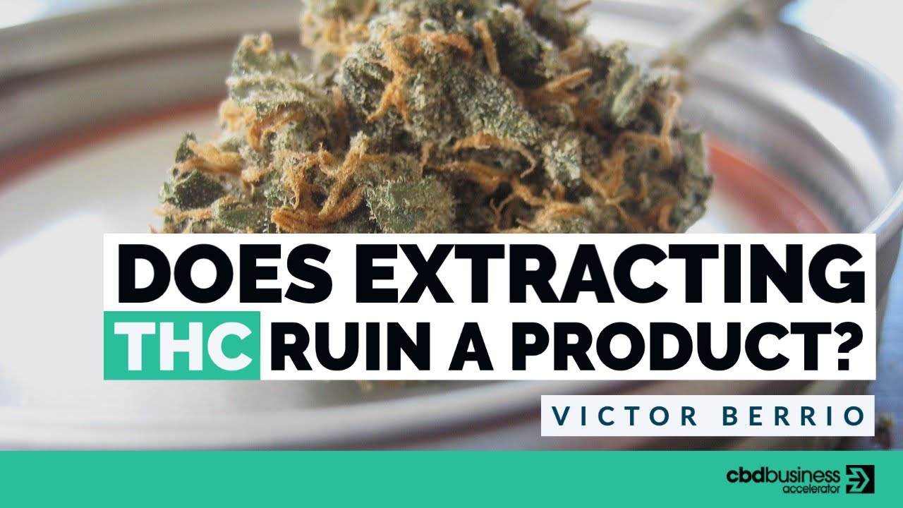 Does Extracting THC ruin a product? - Victor Berrio