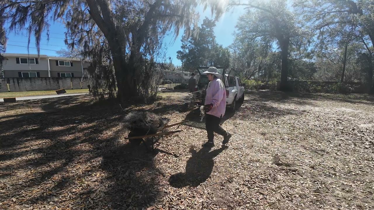 Cleaning up tree limbs in the sunshine state