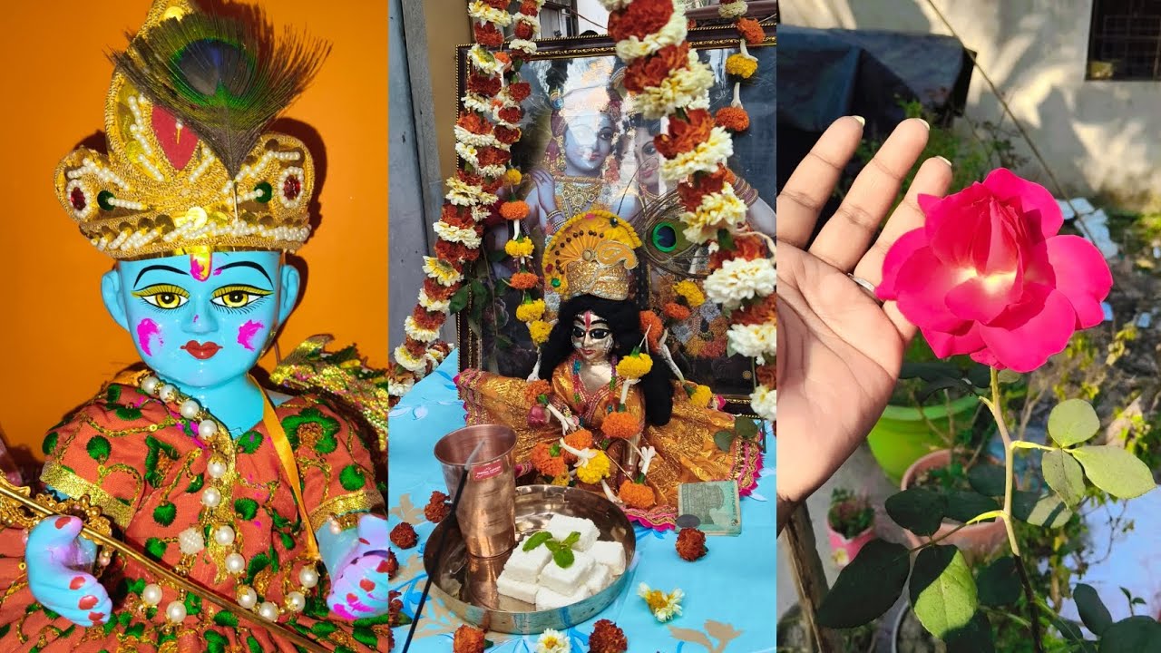 দোল পূর্ণিমা উপলক্ষে বৈষ্ণব সেবায় দুদিন কিভাবে কাটালাম। নগর কীর্তন। ভগবত পাঠ ও বৈষ্ণব সেবা।