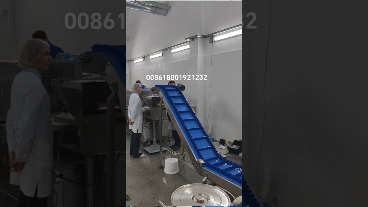 Full Process of Industrial Milk Tablet Production Line - 16-Station Press Machine to Packaging