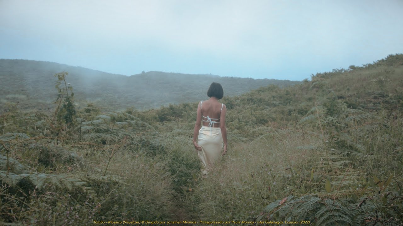 Tombó - Mosaico (Visualizer)