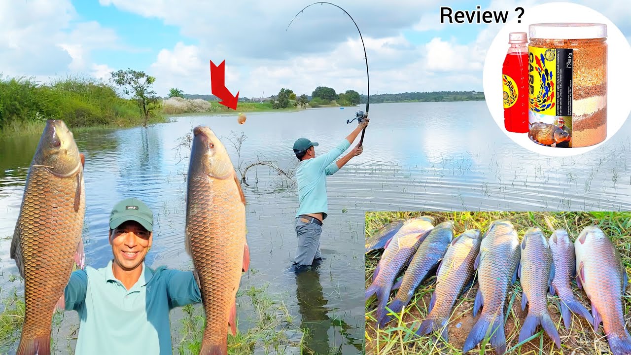 Method Feeder Fishing For Carp | Big Fish Catching Videos | Fish Catching Videos | Fishing Video
