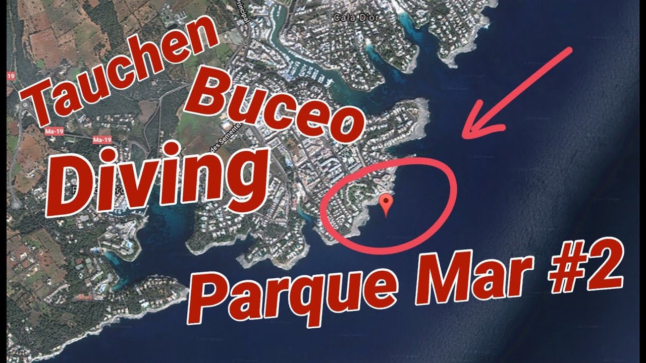 Mallorca Tauchen/Diving - Parque Mar (Cala D'Or ) Impressions: Plenty of Fish, Octopus and Cave-dive