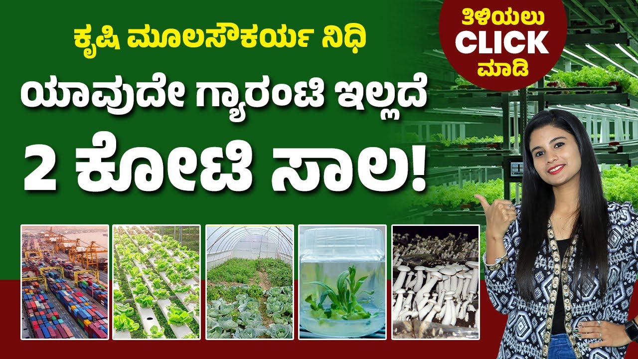 Get Upto 2 Crore Loan from Agriculture Infrastructure Fund | Government Scheme | Benefits Of AIF