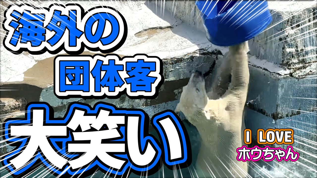 海外団体客がホウちゃんとご対面！さあ、ホウちゃんを初めて見た海外団体客の反応は！？