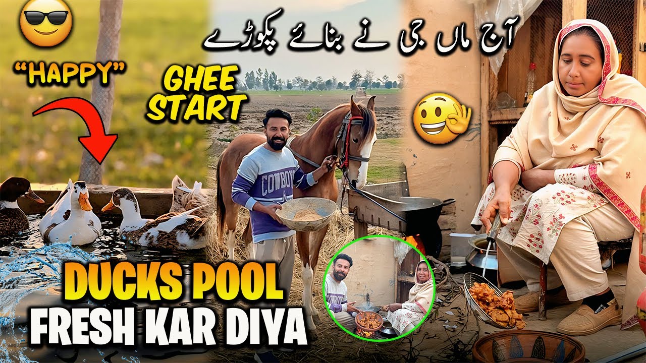 Ducks Pool Fresh Kardiya🦆Maa G ne bnaye Aj Pakody 😍 ایمبر نوں گھی شُروع کردیا 