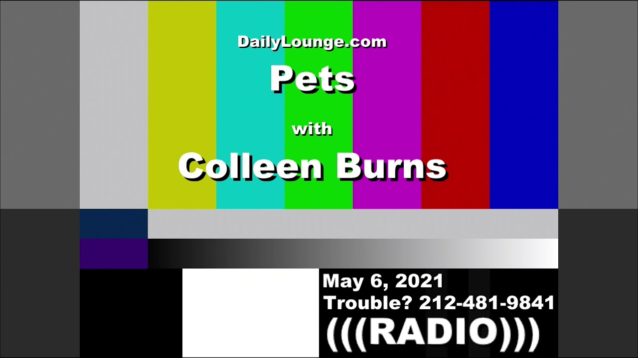 National Pet Month Tips with Colleen Burns - WIZM