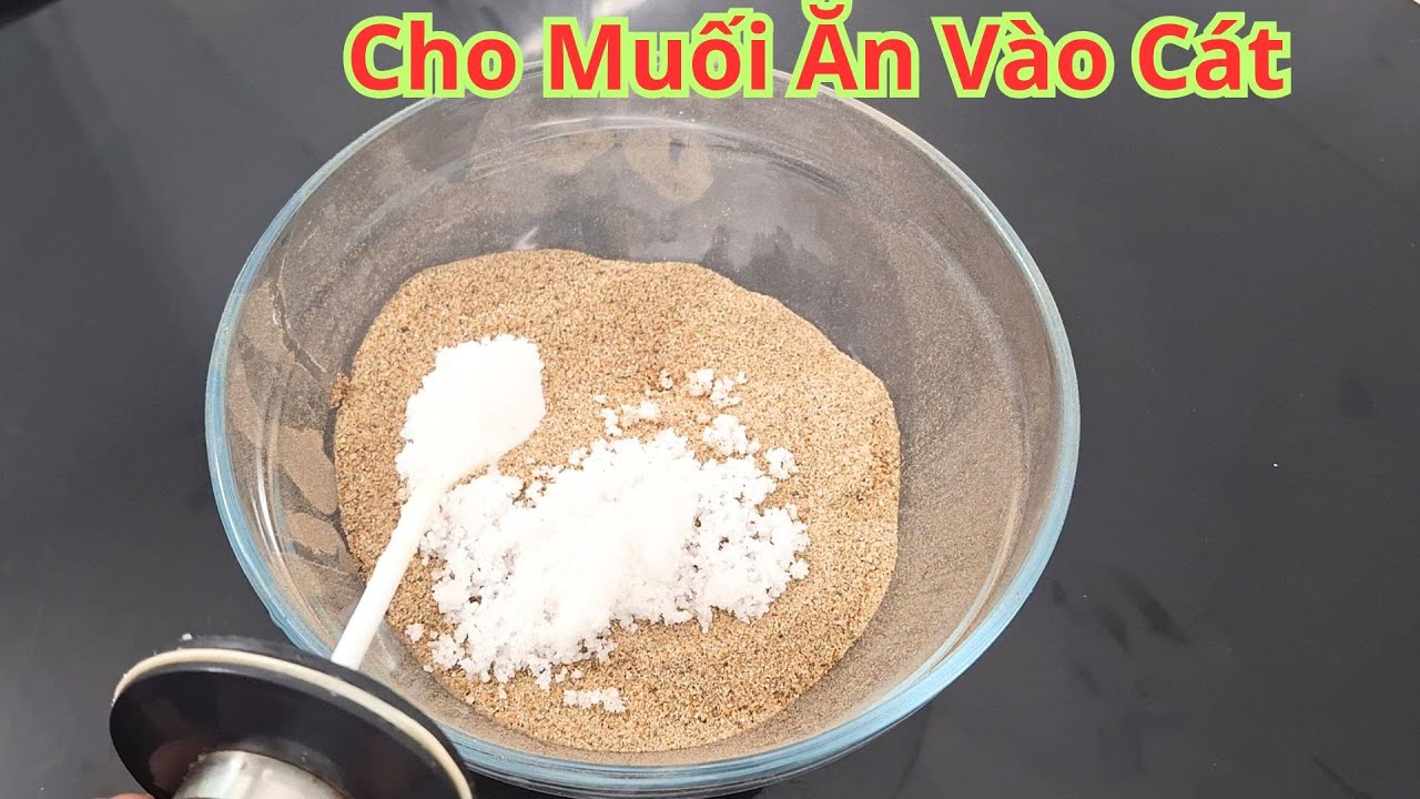 Tôi Chết Mà Không Biết Điều Này. Chỉ Cần Cho Muối Ăn Vào Cát. Thật Không Ngờ Hiệu Quả Đến Như Thế