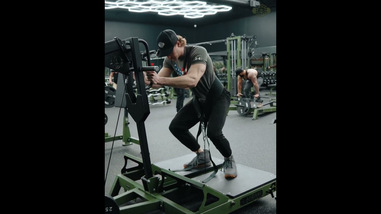Belt Squat by Arsenal Strength at All Else Fit Club