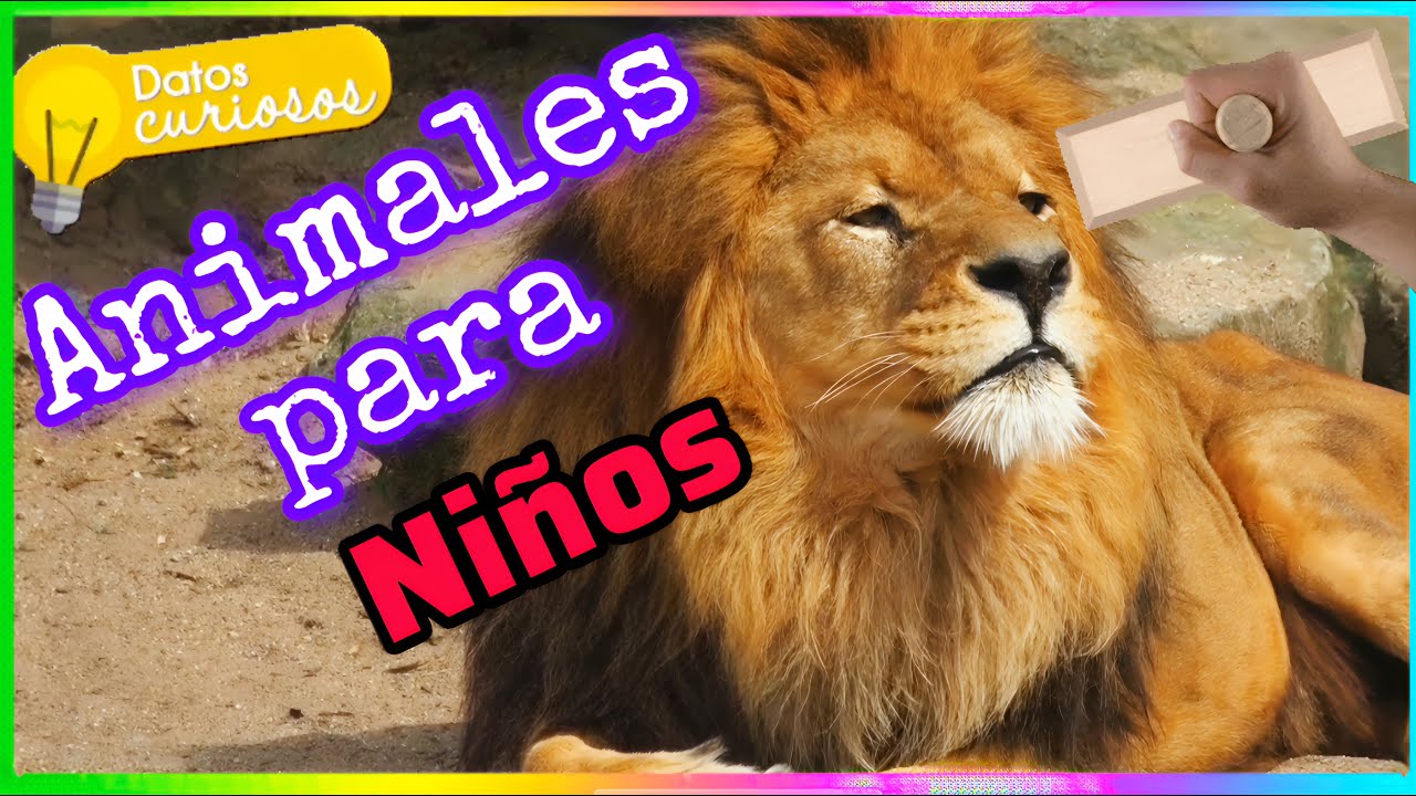 ​Aprende Datos Curiosos de Animales 🦁🐾 ¡Cosas que no sabías! | Video Educativo 2026