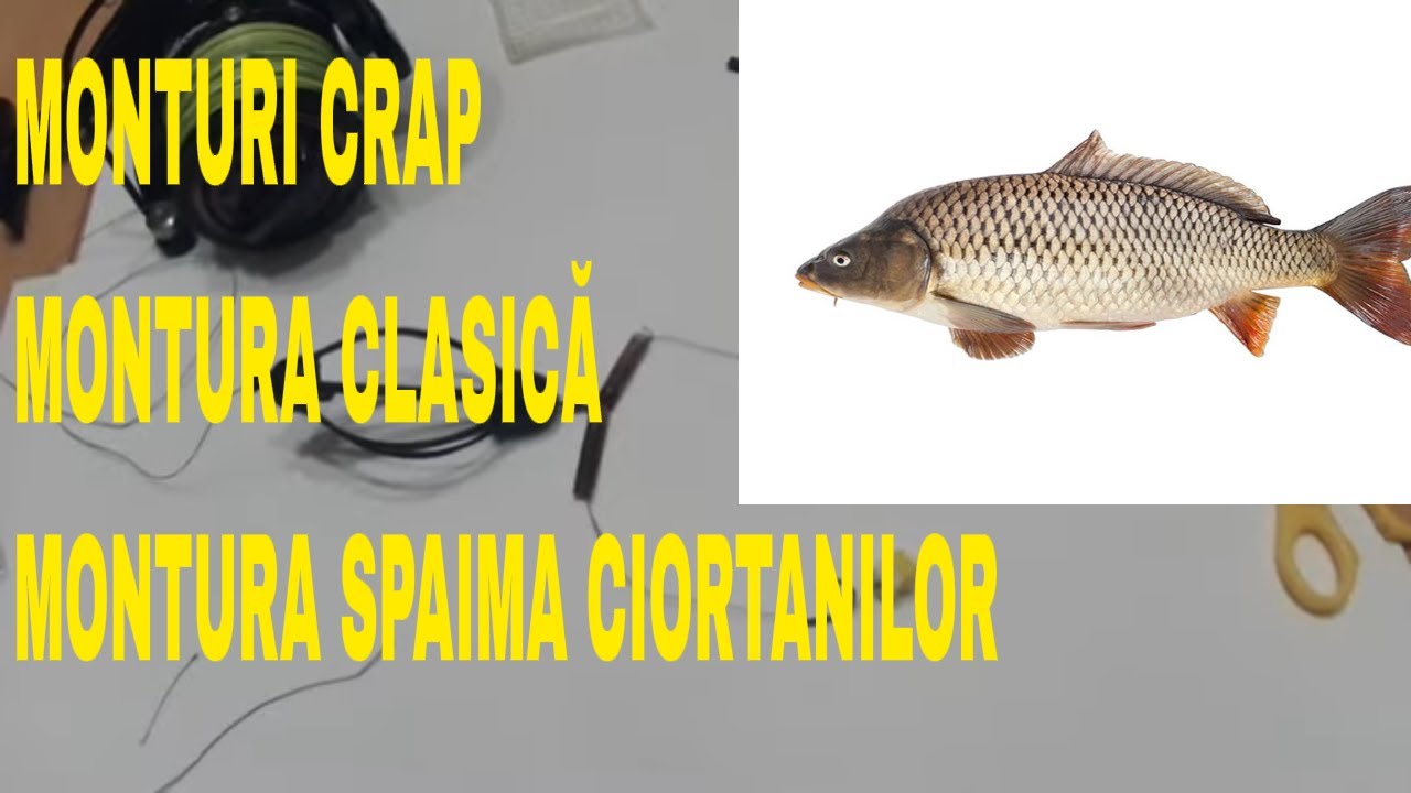 Două monturi de primavara pentru crap si ciortan Montura clasica si Spaima ciortanilor