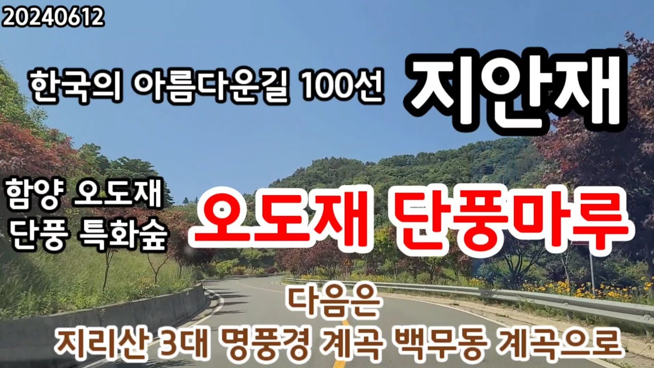 함양 한국의 아름다운길 100선 지안재, 오도재,단풍 숲길 20240612