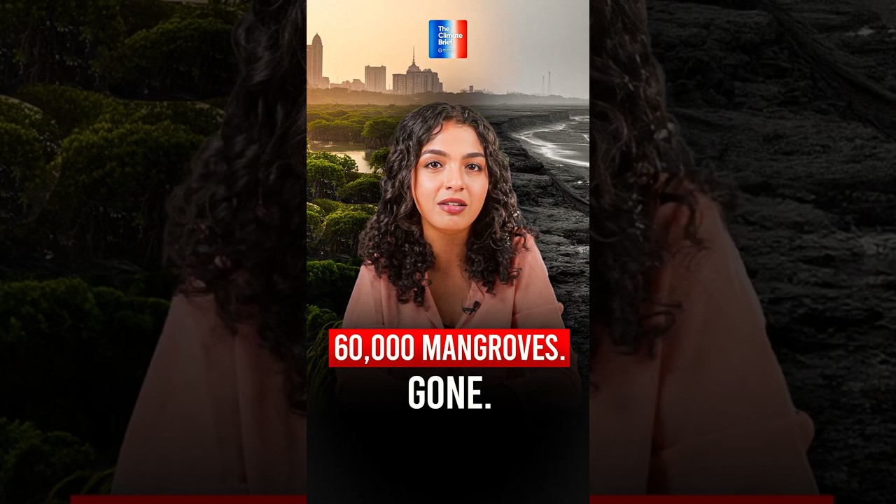 Mumbai&rsquo;s Dream Road Could Be a Nightmare