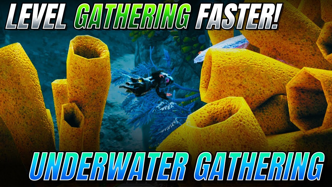 EVERYTHING Underwater Gathering Guide For Black Desert Online