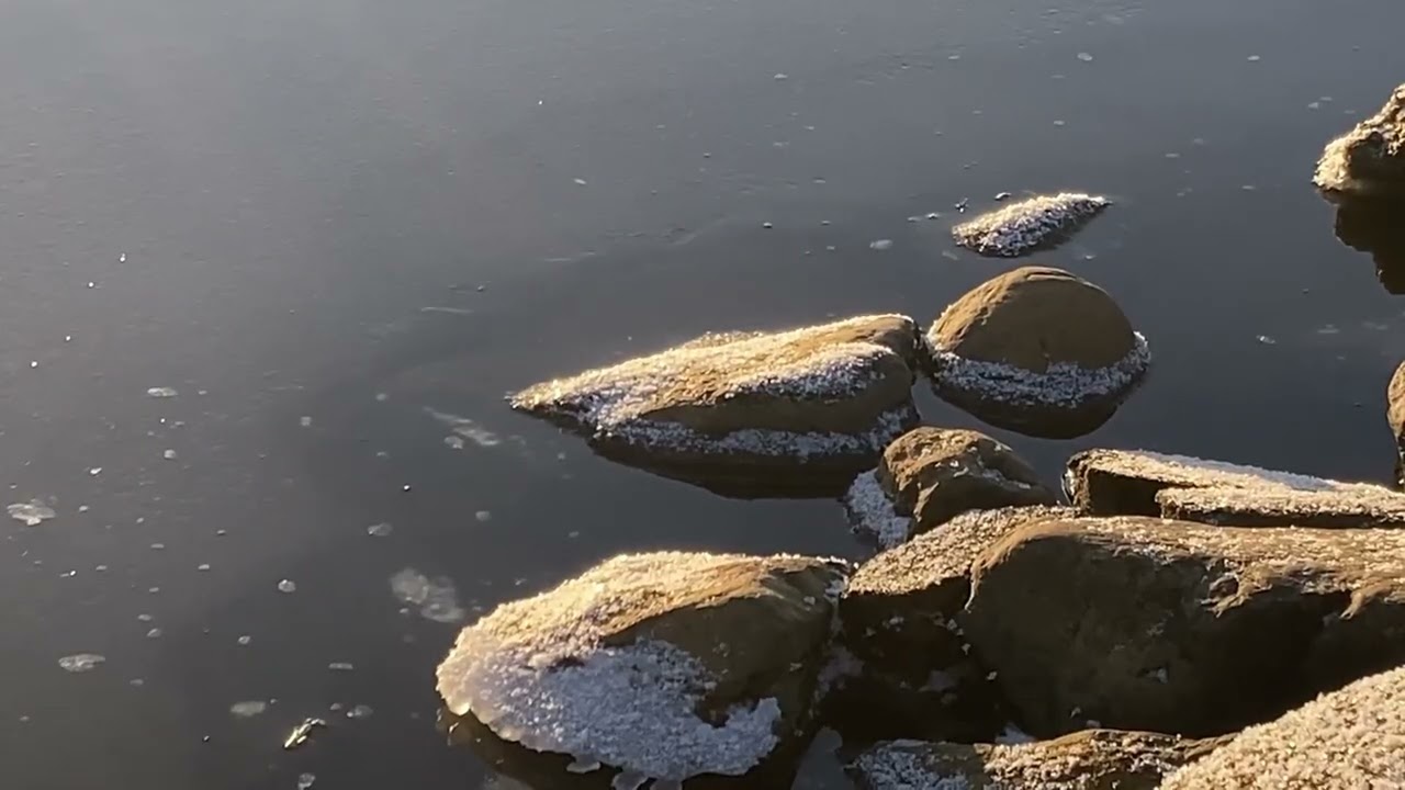 Bottniska p&auml;rlan