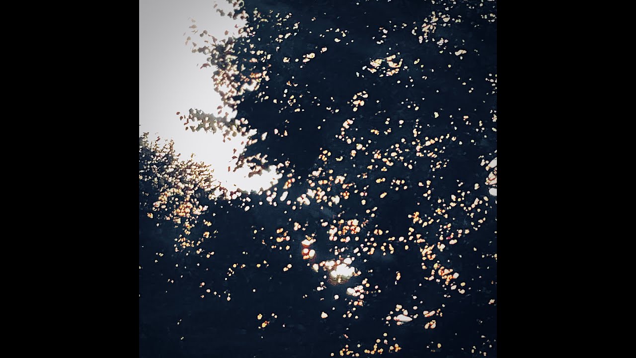 indigo blu - melodies. (Official Music Visualizer)