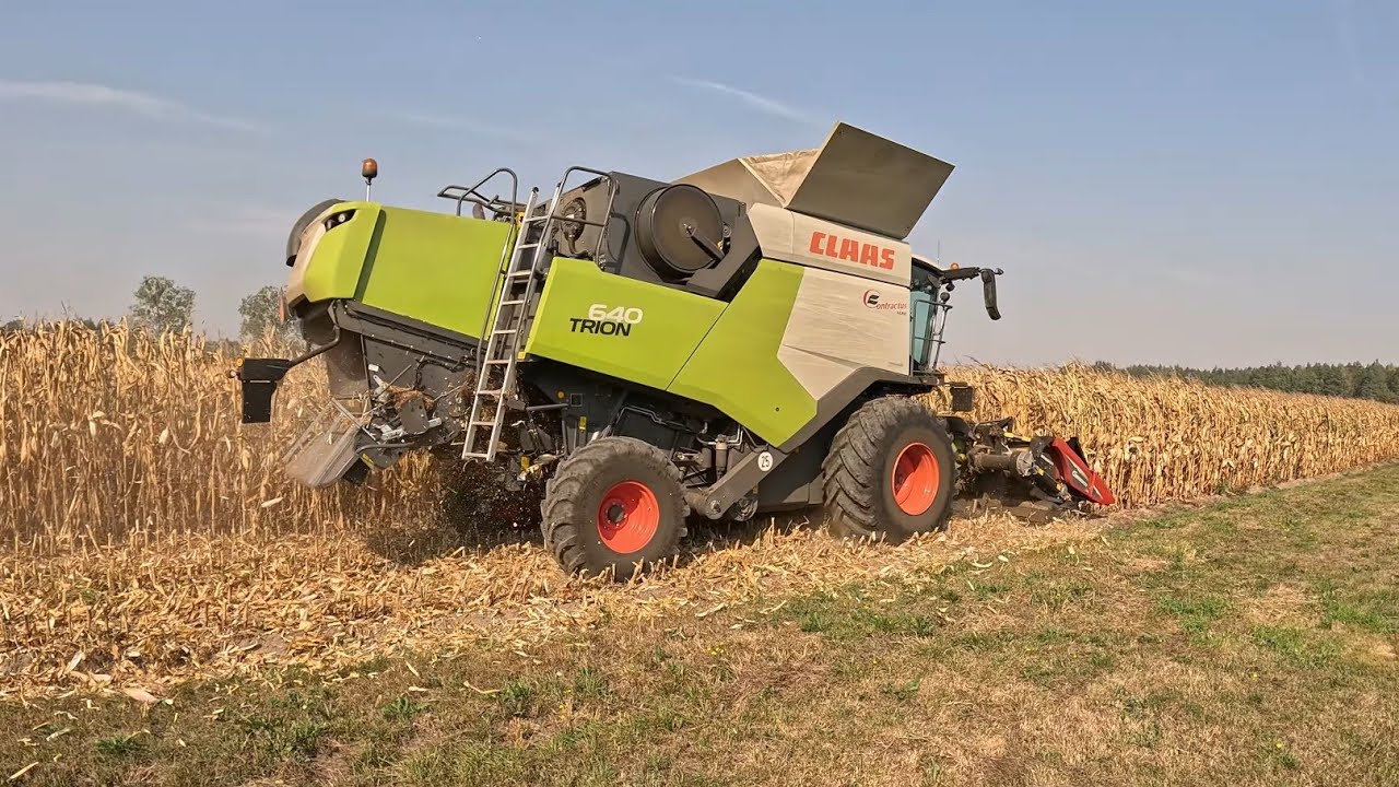 Kosimy poletko doświadczalne KWS 🌽 Wreszcie działka z plonem na 10t❔🤔