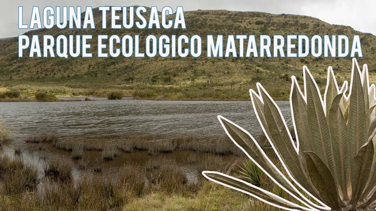 PARQUE ECOLÓGICO MATARREDONDA. LAGUNA TEUSACÁ