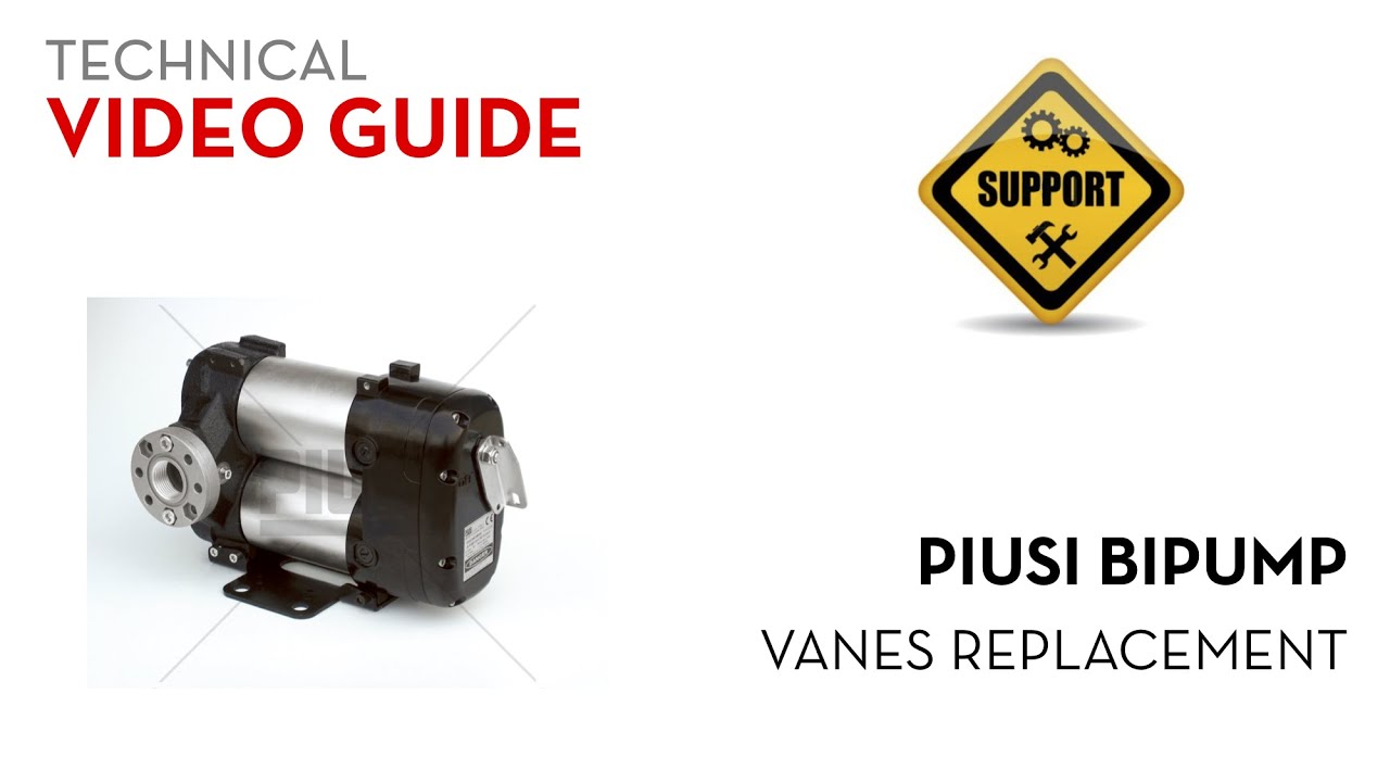 Piusi Bipump - Vanes Replacement