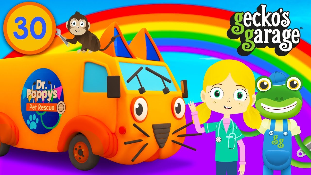 Dr Poppy & The Animal Ambulance Visit Gecko's Garage | Educational Videos For Toddlers | Truck Video