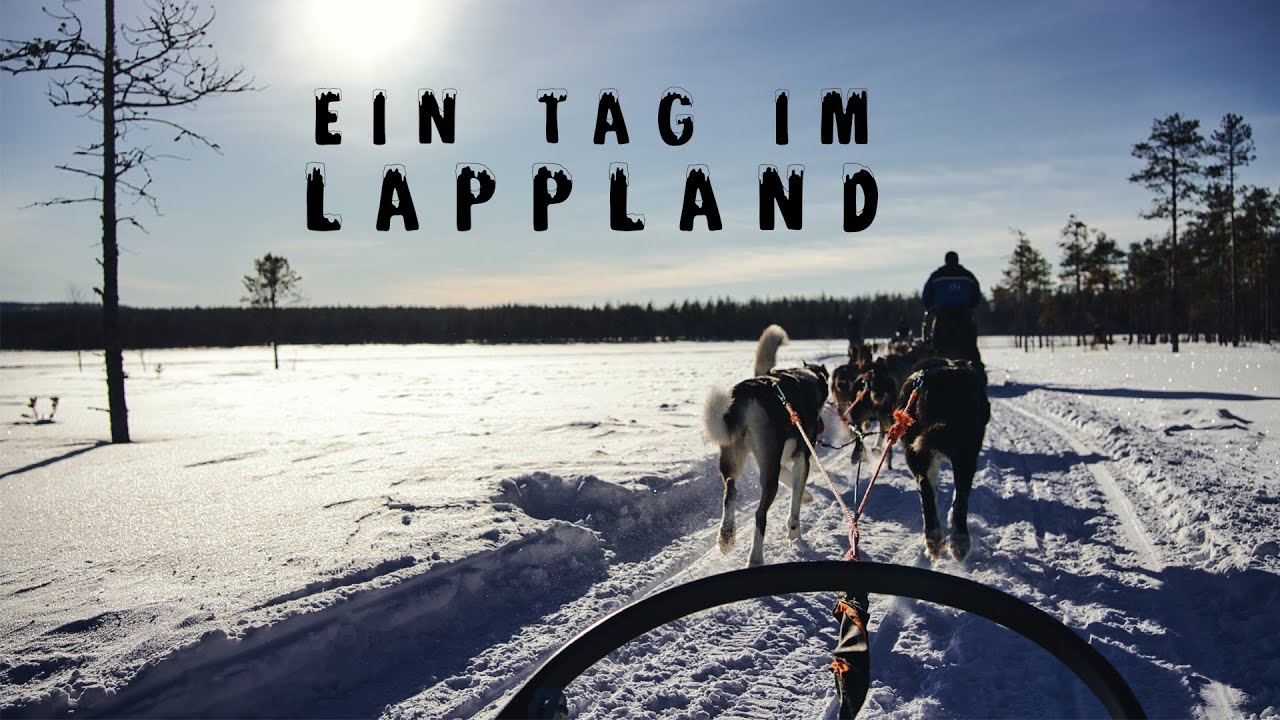 Lappland im Winter 2022 / Husky & Rentier Schlittenfahrt / Weihnachtsdorf Finnland