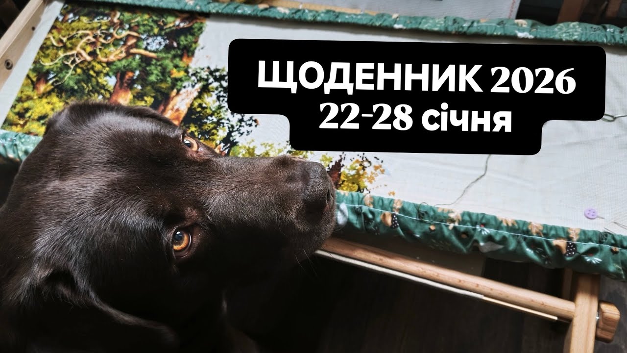Гай, шкарпетка, сніговичок