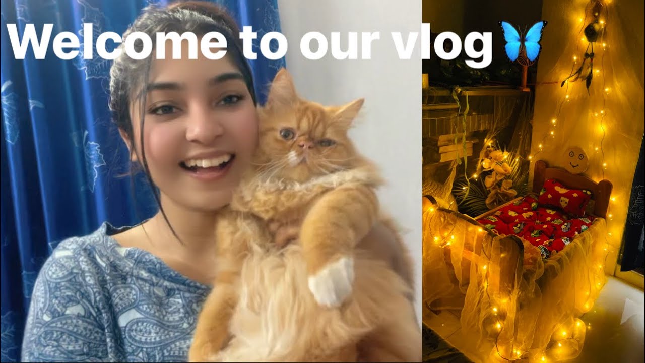 Welcome to our 1st vlog🦋Surprice for Cherry😻