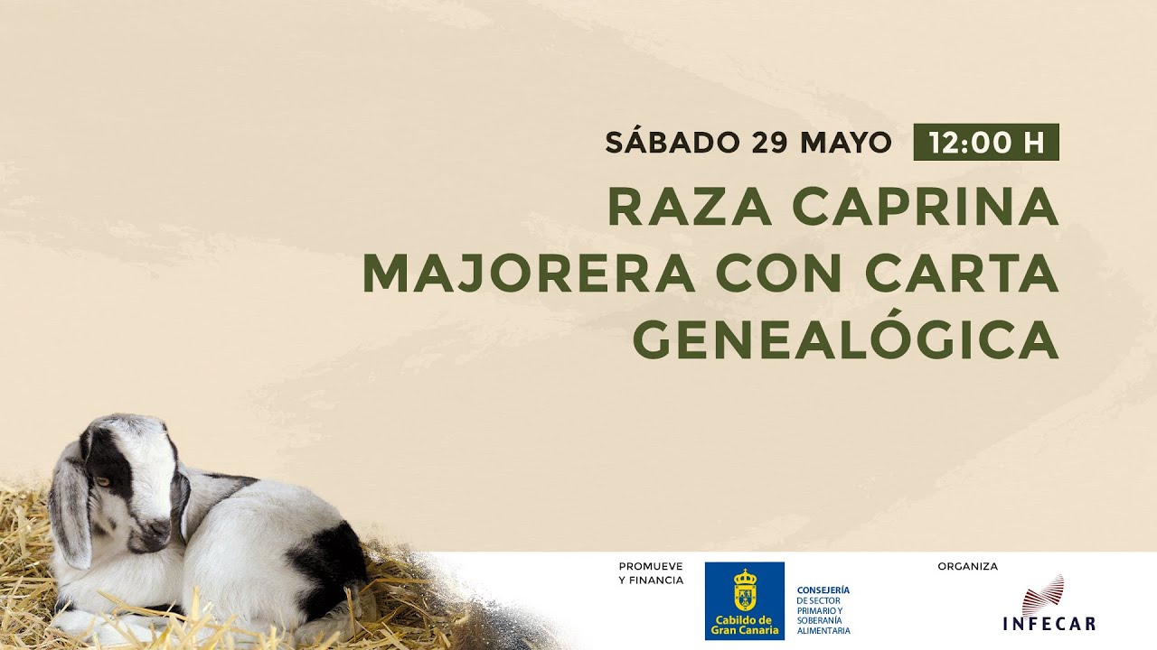 La raza caprina majorera