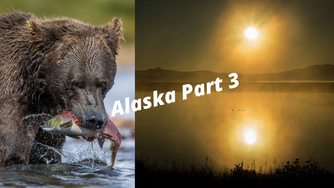 8 DAYS SOLO IN ALASKA PART 3 - WILDLIFE PHOTOGRAPHY, FISHING BEARS AND A SURPRISE VISITOR