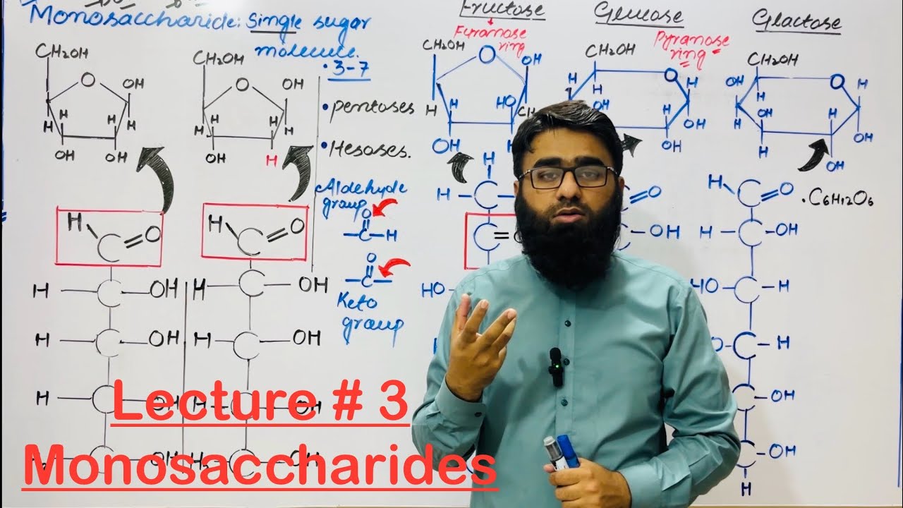 Class 9 Biology | Monosaccharides | New PTB Syllabus 2025 | Carbohydrates | PTB smart syllabus 2026