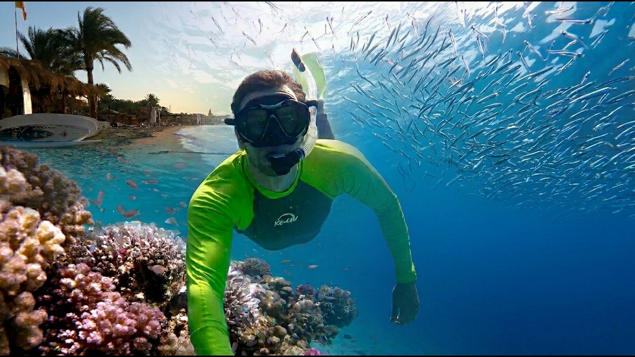 Fort Arabesque Resort, Spa & Villas,🌴 Hurghada 🇪🇬  - Snorkeling