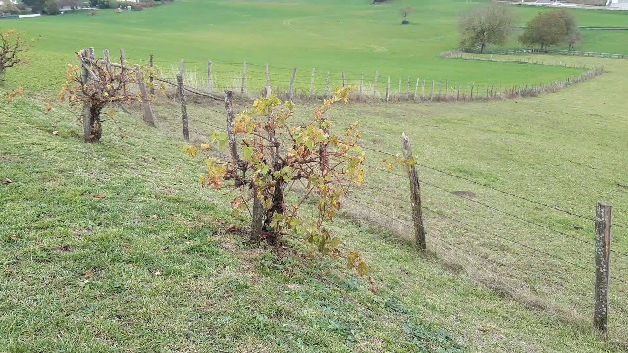 Balade-d&eacute;couverte &agrave; Notre Dame des Vignes &agrave; Valencogne en Is&egrave;re.
