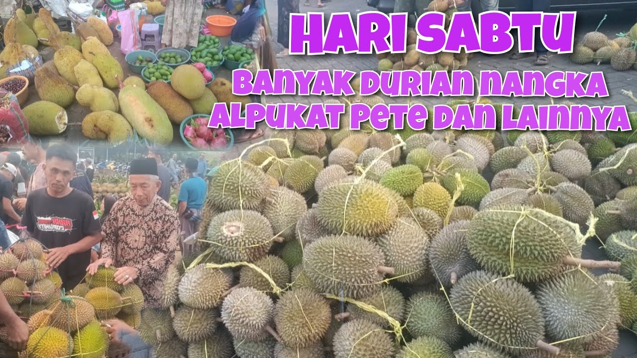 HARI SABTU SURVE HARGA DURIAN ALPUKAT NANGKA PETE REMPAH