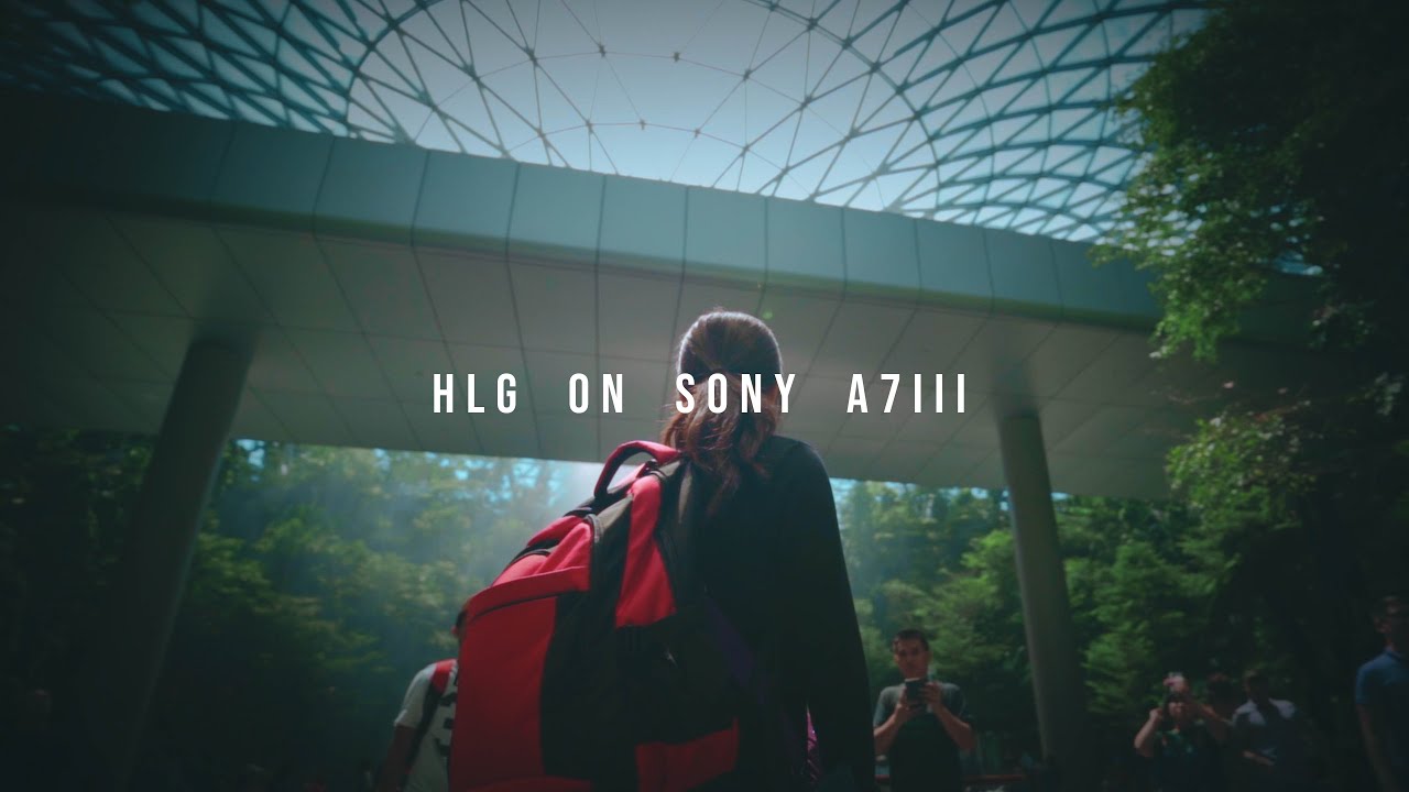 HLG ON a7iii | CINEMATIC VLOG | SINGAPORE | CHANGI AIRPORT | TAMRON17-28 | TAMRON 28-75 | SONY 85