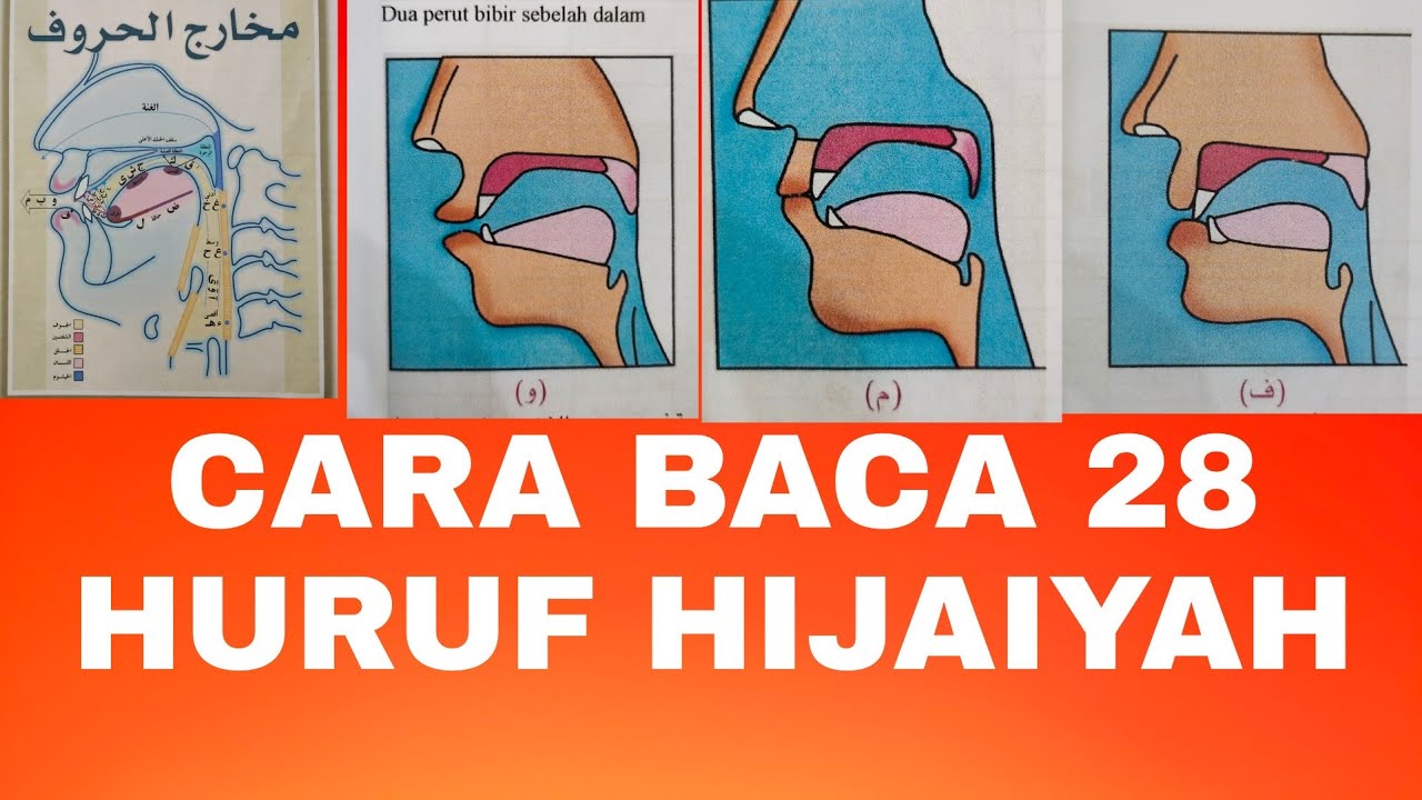 belajar penyebutan 28 huruf hijaiyah yang benar dan mengetahui tempat keluarnya