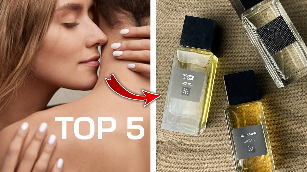 TOP 5 CONTRATIPOS “NOSSA COMO VC TÁ CHEIROSO” (VERSÃO IN THE BOX)