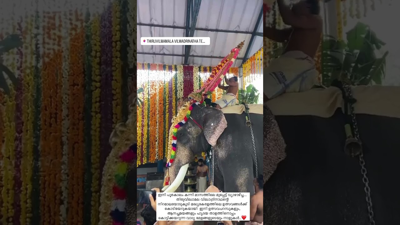 NIRAMALA MAHOLSAVAM 2023 THIRUVILVAMALA VILWADRINADHA TEMPLE,THRISSUR, തിരുവില്വാമല നിറമാല മഹോത്സവം