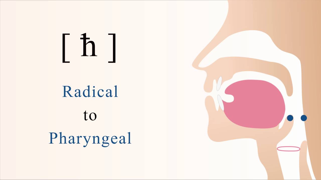 [ ħ ] unvoiced radical pharyngeal non sibilant fricative