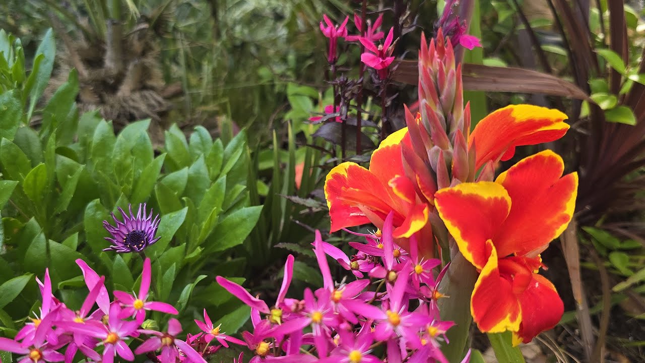 UK Tropical Garden - October tour 2024 (Peak Growth)